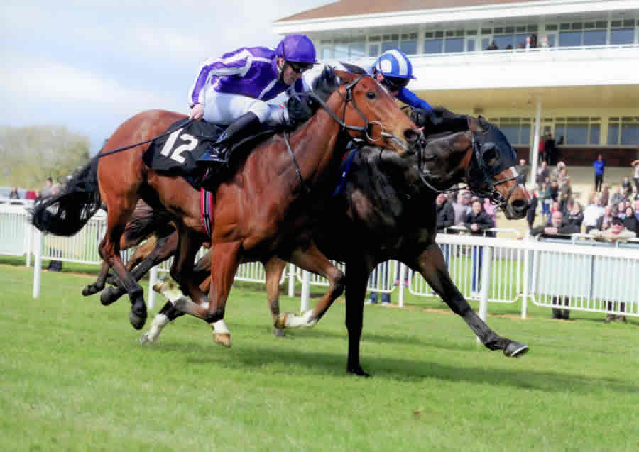 Exogenesis - Tyros Stakes Gr 3 Leopardstown 25th July 2013